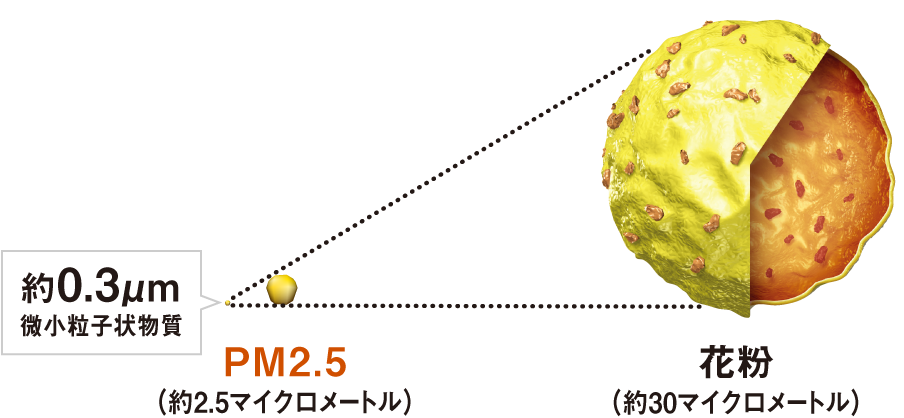 約0.3μm微小粒子状物質 ＜ 約0.3μm微小粒子状物質 ＜ 花粉（約30マイクロメートル）